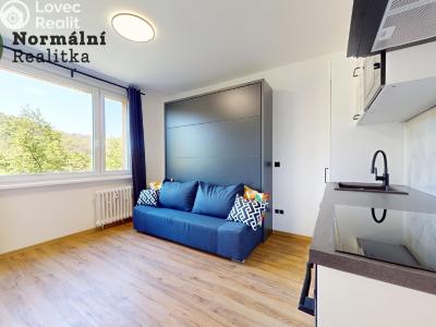 Pronájem bytu 1+KK Ústí nad Labem, Tolstého č. 2