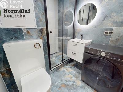 Pronájem bytu 1+KK Ústí nad Labem, Tolstého č. 7