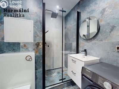 Pronájem bytu 1+KK Ústí nad Labem, Tolstého č. 8