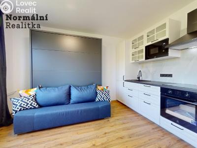 Pronájem bytu 1+KK Ústí nad Labem, Tolstého č. 18