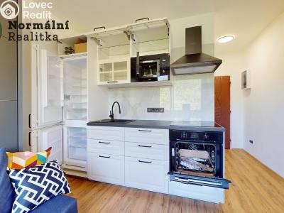 Pronájem bytu 1+KK Ústí nad Labem, Tolstého č. 22
