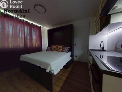 Pronájem bytu 1+KK Ústí nad Labem, Tolstého č. 28