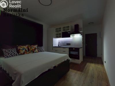 Pronájem bytu 1+KK Ústí nad Labem, Tolstého č. 30