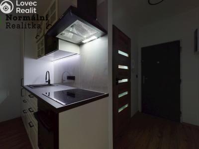 Pronájem bytu 1+KK Ústí nad Labem, Tolstého č. 31