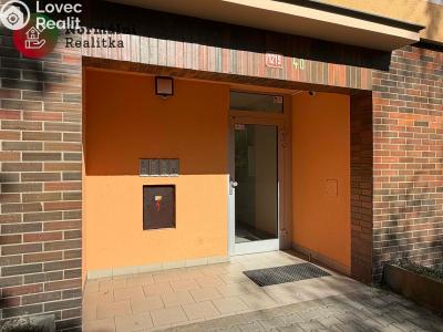 Pronájem bytu 1+KK Ústí nad Labem, Tolstého č. 55