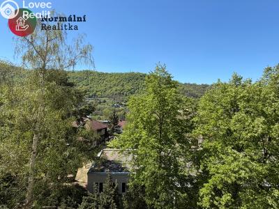 Pronájem bytu 1+KK Ústí nad Labem, Tolstého č. 65