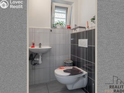 Sale family house Dobelice č. 13