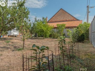 Sale family house Dobelice č. 29