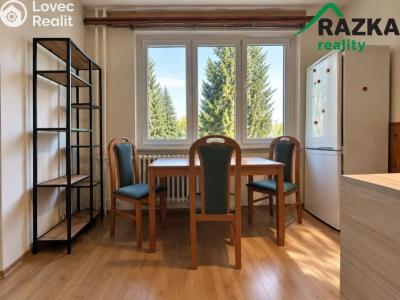 Rent apartment 2+1 Mariánské Lázně, Janáčkova č. 9
