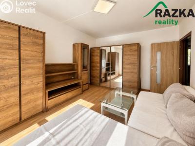 Rent apartment 2+1 Mariánské Lázně, Janáčkova č. 2
