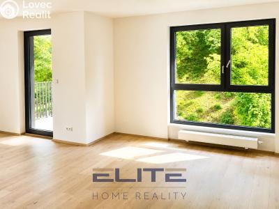 Rent apartment 2+KK Liberec, Vítězná č. 5