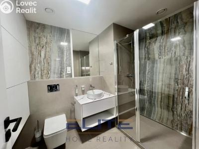 Rent apartment 3+KK Liberec, Na Perštýně č. 20