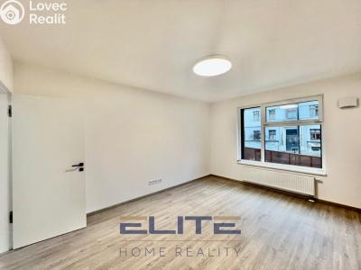 Rent apartment 3+KK Liberec, Na Perštýně č. 22