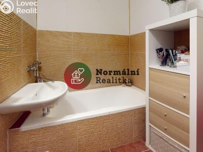 Sale apartment 2+1 Kralupy nad Vltavou, sídl. Hůrka č. 1