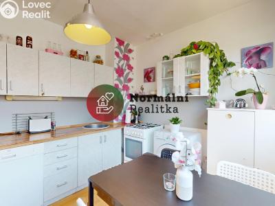Sale apartment 2+1 Kralupy nad Vltavou, sídl. Hůrka č. 2