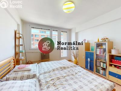Sale apartment 2+1 Kralupy nad Vltavou, sídl. Hůrka č. 3