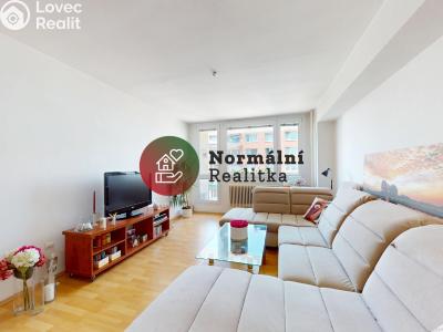 Sale apartment 2+1 Kralupy nad Vltavou, sídl. Hůrka č. 4
