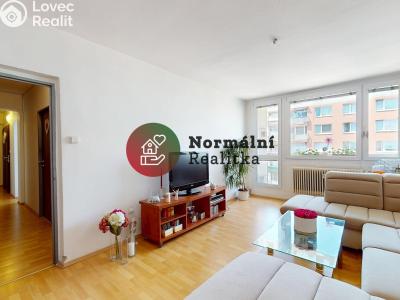 Sale apartment 2+1 Kralupy nad Vltavou, sídl. Hůrka č. 5