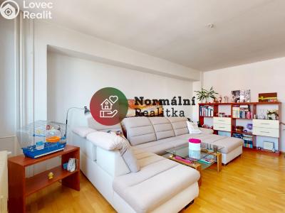 Sale apartment 2+1 Kralupy nad Vltavou, sídl. Hůrka č. 6