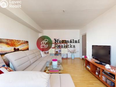 Sale apartment 2+1 Kralupy nad Vltavou, sídl. Hůrka č. 8