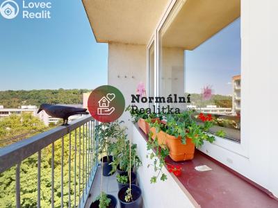 Sale apartment 2+1 Kralupy nad Vltavou, sídl. Hůrka č. 9