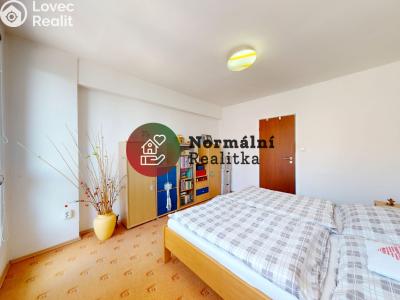 Sale apartment 2+1 Kralupy nad Vltavou, sídl. Hůrka č. 10