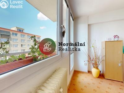 Sale apartment 2+1 Kralupy nad Vltavou, sídl. Hůrka č. 11