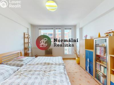 Sale apartment 2+1 Kralupy nad Vltavou, sídl. Hůrka č. 12