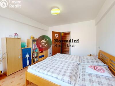 Sale apartment 2+1 Kralupy nad Vltavou, sídl. Hůrka č. 13