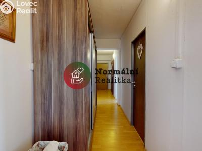 Sale apartment 2+1 Kralupy nad Vltavou, sídl. Hůrka č. 17