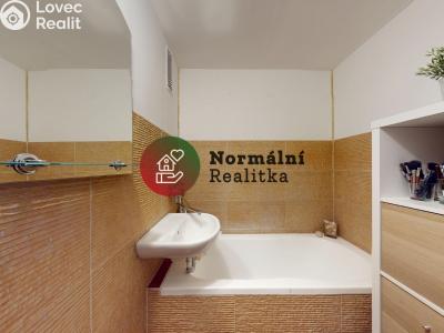 Sale apartment 2+1 Kralupy nad Vltavou, sídl. Hůrka č. 19