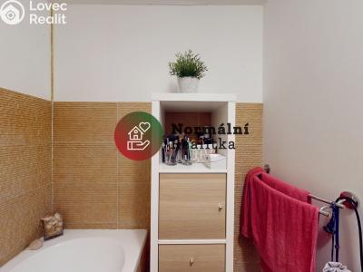 Sale apartment 2+1 Kralupy nad Vltavou, sídl. Hůrka č. 20