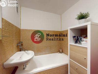 Sale apartment 2+1 Kralupy nad Vltavou, sídl. Hůrka č. 21