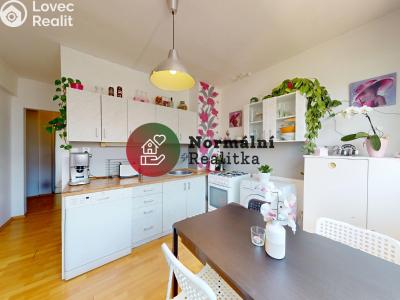 Sale apartment 2+1 Kralupy nad Vltavou, sídl. Hůrka č. 24