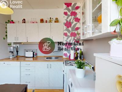 Sale apartment 2+1 Kralupy nad Vltavou, sídl. Hůrka č. 25