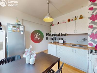 Sale apartment 2+1 Kralupy nad Vltavou, sídl. Hůrka č. 26