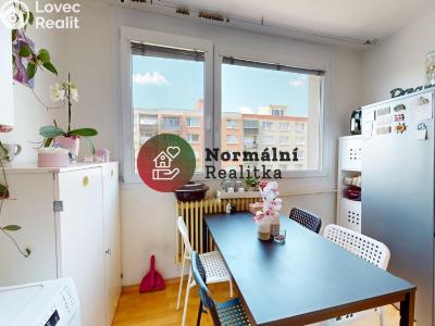 Sale apartment 2+1 Kralupy nad Vltavou, sídl. Hůrka č. 28