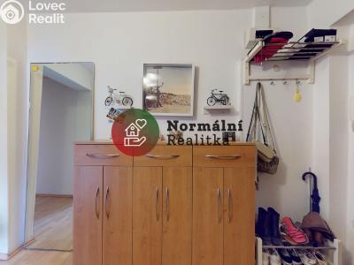 Sale apartment 2+1 Kralupy nad Vltavou, sídl. Hůrka č. 29
