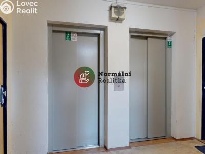 Sale apartment 2+1 Kralupy nad Vltavou, sídl. Hůrka č. 30