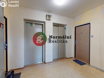 Sale apartment 2+1 Kralupy nad Vltavou, sídl. Hůrka č. 31