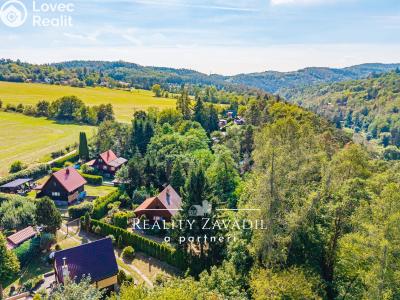 Sale hut Kamenný Přívoz č. 27
