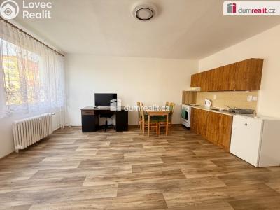 Rent apartment 1+KK Ústí nad Labem, Neštěmická č. 1