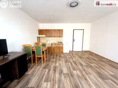 Rent apartment 1+KK Ústí nad Labem, Neštěmická č. 2