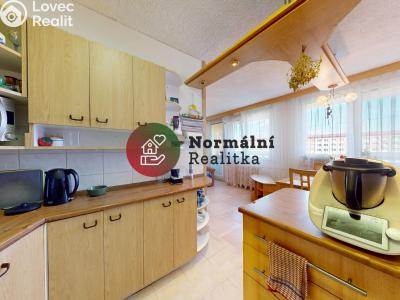 Sale apartment 3+1 Neratovice, Kojetická č. 10