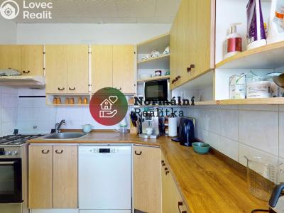 Sale apartment 3+1 Neratovice, Kojetická č. 11