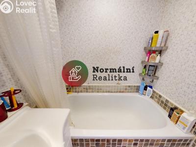 Sale apartment 3+1 Neratovice, Kojetická č. 23