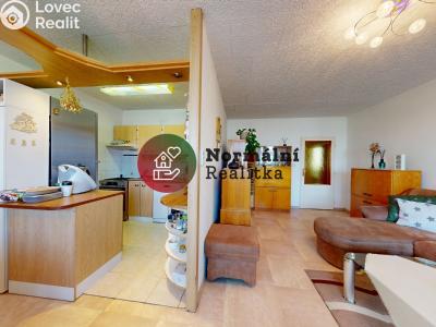 Sale apartment 3+1 Neratovice, Kojetická č. 37