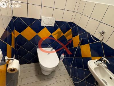 Pronájem bytu 3+KK Rožnov pod Radhoštěm, Hážovice č. 12