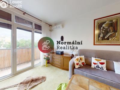 Sale apartment 2+1 Neratovice, Dr. E. Beneše č. 9