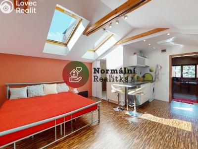 Sale villa Děčín, Nedbalova č. 41